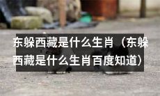 什么生肖在东躲西藏时能够巧妙避过困境？（What zodiac sign can skillfully avoid obstacles when hiding in the east and west?)