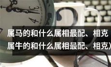 属马的与哪些属相最为相配、相冲相克？（附：属牛者与哪些属相最合拍、相克？）