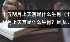 在中国的传统文化中，十五明月上天宫的生肖是什么呢？是虎吗？