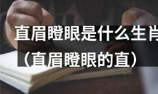 哪些生肖的直眉瞪眼特征突出且印象深刻