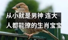 从小时候起就备受宠爱的男神生肖宝宝，具备惊人的撩妹本领，连成年人都难以招架！