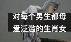 母爱溢于言表，对每位男性无不关怀备至的十二生肖女