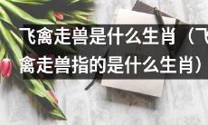 请问“飞禽走兽”一词通常指包含哪些生肖？