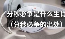 究竟哪些生肖属于“分秒必争”？探究“分秒必争”这一说法的来源和含义
