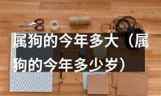 2022年属狗的人今年几岁？