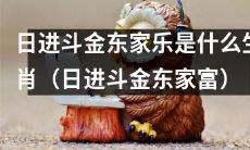 探究日进斗金东家乐属于哪一生肖，揭秘日进斗金东家富的真实面貌