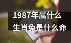 1987年出生的人属于哪个生肖?兔子是什么样的命运?
