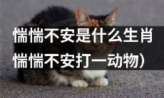 哪些生肖常常表现出惴惴不安的心态？（惴惴不安对应的动物有哪些？）