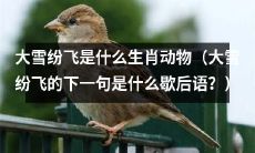 请问大雪纷飞所代表的中国十二生肖中的哪一个动物?接下来的歇后语是什么?