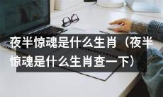 夜半惊魂是属于哪个生肖的人？需要进行生肖查询！