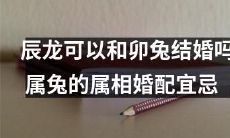 属相婚配宜忌：是否适合辰龙和卯兔结婚这一问题