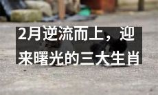 在逆境中披荆斩棘,2月脱颖而出迎来光明的三大幸运生肖