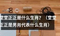 男性所代表的十二生肖之一，是指堂堂正正的生肖是什么？