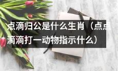 什么生肖与点滴归公有关（将点点滴滴组成的动物指向哪种动物）