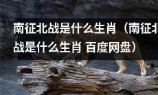 福尔摩斯与华生的新冒险：探寻南征北战之生肖 (探寻南征北战之生肖 百度网盘下载)