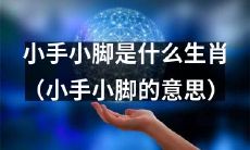 揭秘 ‘小手小脚’ 的生肖含义：那些被赋予手足形象的动物属于哪些生肖？