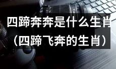 四蹄飞奔是哪个生肖?探索四蹄奔奔的神秘动物标志!