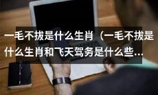 哪些生肖被称为“一毛不拔”，另外还有哪些生肖被称为“飞天驾务”？