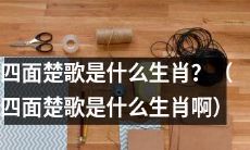 请问四面楚歌所代表的生肖是什么呢？