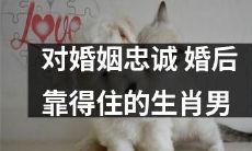 坚守婚姻承诺，值得信赖的生肖男，打造稳固幸福婚姻的关键！