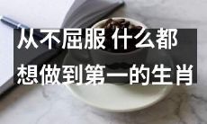 勇不屈服，渴望成为最好的生肖：探讨那些不甘平凡的动物们