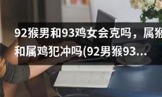 属猴与属鸡组合:92年出生的男猴与93年的女鸡是否存在克制,将其它疑问归零!