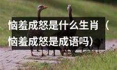 哪些生肖容易表现出恼羞成怒的情绪，是否可以将恼羞成怒视为一种成语？