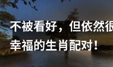 虽然不被普遍看好但却仍然幸福的生肖配对！