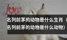 哪些是名列前茅的生肖动物？（哪些是表现最好的生肖动物？）