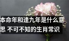 探寻本命年和逢九年:弥足珍贵的生肖常识值得你了解