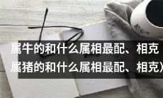 2022年属牛人的生肖配对指南:最佳和最不利的属相搭配(包括属猪)
