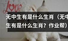 什么样的生肖与无中生有有关？（来自作业帮的问答）