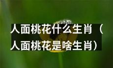 人面桃花是哪个生肖，它有什么含义和象征意义？