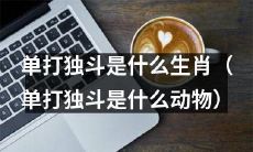 哪些生肖能够属于单打独斗的动物群体？