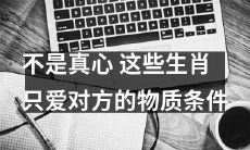 这些生肖并不真心，只会看中对方的物质条件