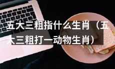 可以这样改写:究竟是哪些生肖被称为“五大三粗”呢?