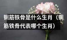 铜筋铁骨指代着哪些生肖？