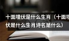 关于十面埋伏，在中国传统文化中对应的生肖以及它所对应的古代诗歌名称是什么？