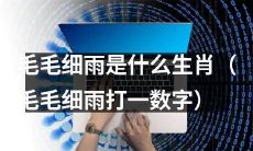 毛毛细雨是哪一个属相,对应着哪一个数字来着?