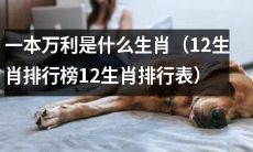 十二生肖排行榜：哪个生肖是赢家？一本万利生肖榜单！