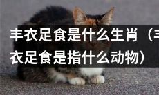 什么生肖象征着丰衣足食（指哪种动物代表着衣食丰足）？