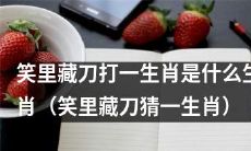 「曲径通幽藏刀兮，笑容如花是何生肖？」——谜一般的生肖猜谜题