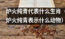 炉火纯青是哪个生肖所代表的动物象征？