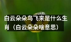 以白云朵朵为线索，推算鸟儿何属之生肖（探讨白云朵朵隐含的含义）