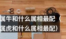 哪些属相是与属牛最为匹配的(或者, 属虎和哪些属相最为契合)?