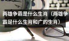 请确认题目是否存在问题，原标题未涉及“广的生肖”这个概念，因此无法进行准确的改写，请提供更多正确的信息