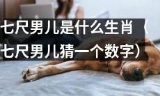 请猜猜七尺男儿所属的生肖,数字已经准备好了!