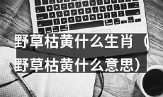 十二生肖中哪个代表着野草枯黄的含义？（What does the withered grass symbolize in the twelve zodiac signs?）