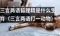 请问狐狸精所属的生肖是哪一种动物（谜语猜想一种动物）？
