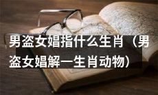 指哪个生肖是男盗女娼？（男盗女娼所指之生肖为何？）